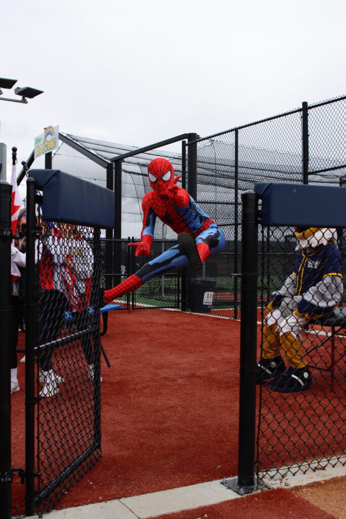Spiderman 5